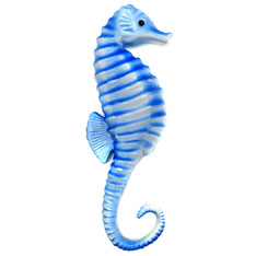 seahorse