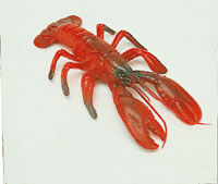 plastic lobster