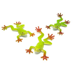mini tree frog
