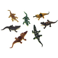 mini crocodiles