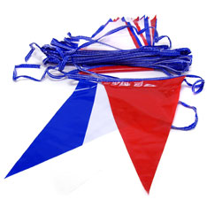 carnival pennants