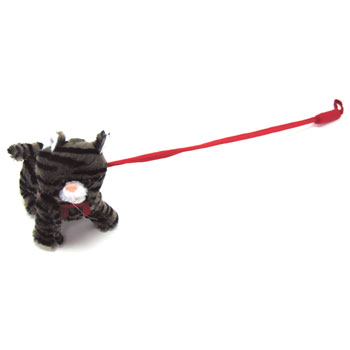 plush cat on a leash